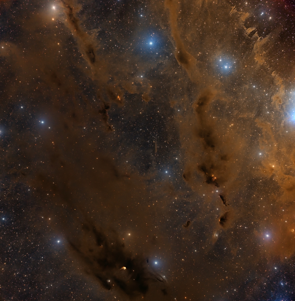 Barnard 22 Telescope Live